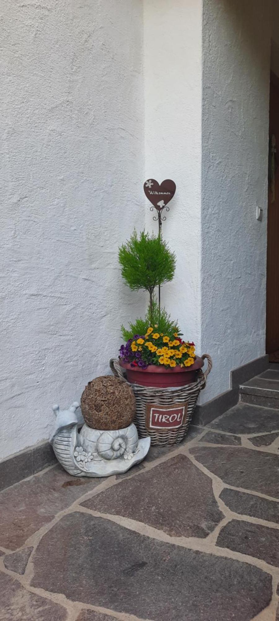 Appartement Margreiter Niederau Zewnętrze zdjęcie